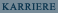 Karriere